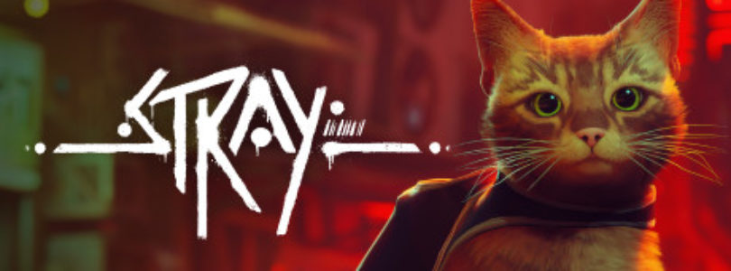 Stray review