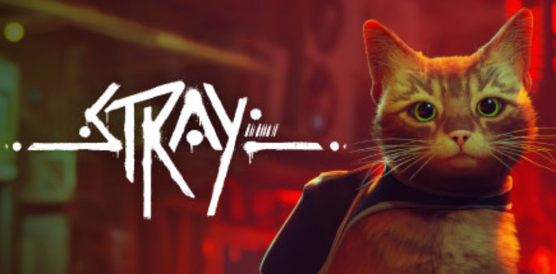 Stray review